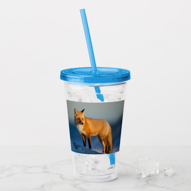 Verre En Acrylique Renard Brown (Devant glace)