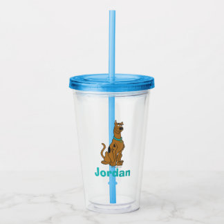 Verre En Acrylique Scooby Doo Chiot Yeux