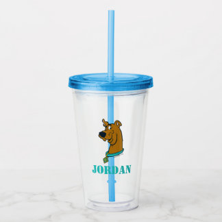 Verre En Acrylique Scooby-Doo Winking
