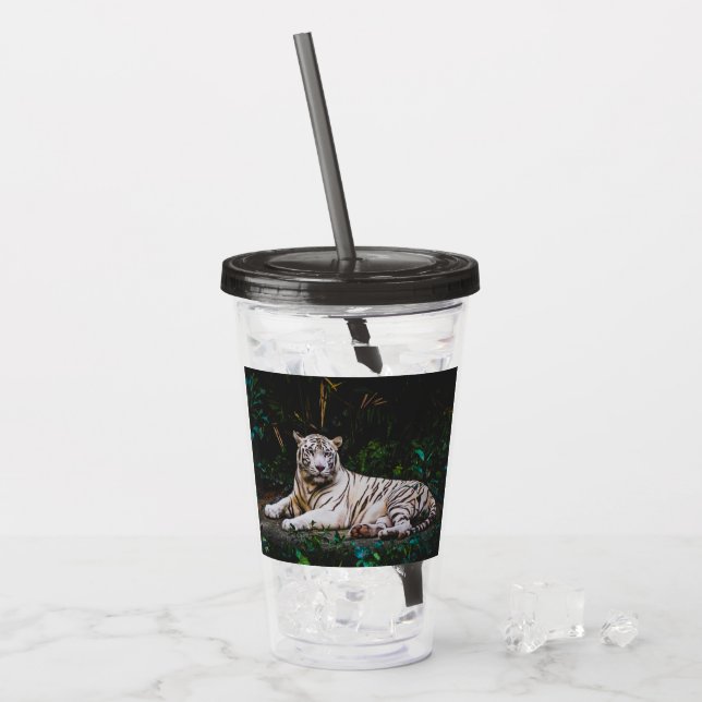 Verre En Acrylique Tigre (Devant glace)