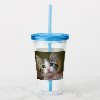 Verre En Acrylique Un chaton mignon avec des yeux verts