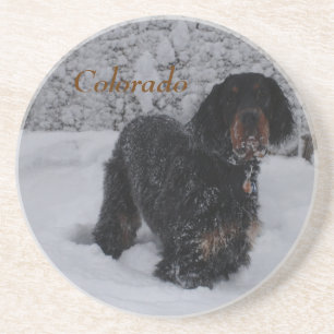 Verre En Grès Colorado Gordon Setter Puppy Dans Le Dessous de ve