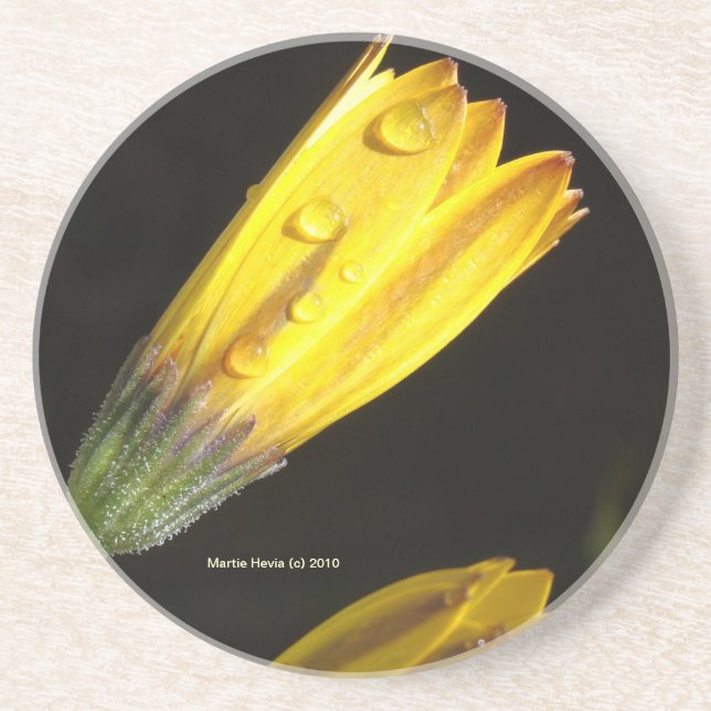 Verre En Grès Découpe sur une marguerite jaune - Dessous de verr (Devant)