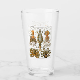 Verre Ernst Haeckel Gamochonia, poulpe, calmar