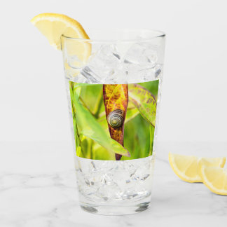 Verre fixation calme