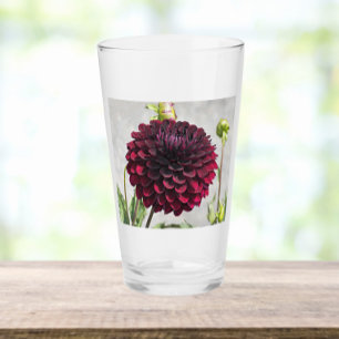 Verre Fleur de dahlia rouge foncé Boire