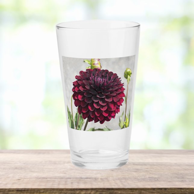 Verre Fleur de dahlia rouge foncé Boire (In Situ)