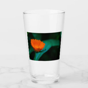 Verre Fleur de marguerite orange