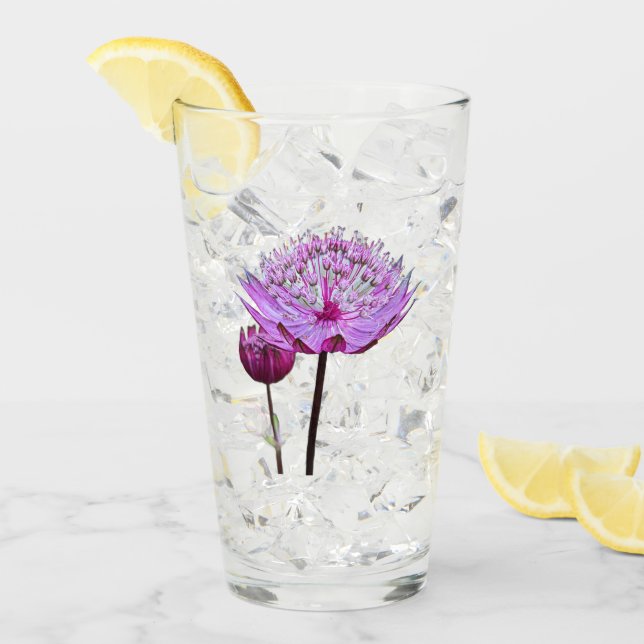 Verre Fleur Florale d'Astrantia Rose (Devant glace)