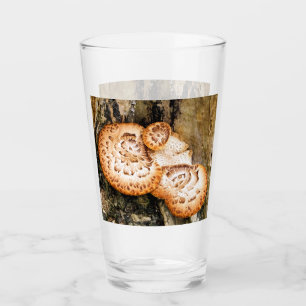 VERRE FUNGI