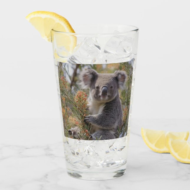 Verre Grevillea Koala Bear, (Devant glace)