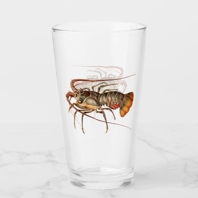 Verre Homard de roche - Panulirus Regis (Devant)