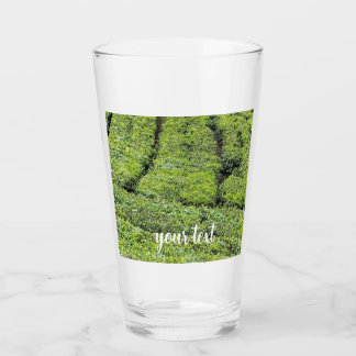Verre jardins de thé de Munnar sur