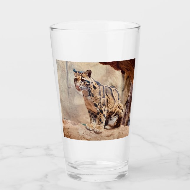 Verre léopard nébuleux image nature faune exotique (Devant)