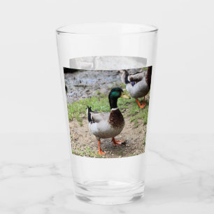 Verre M. Duck