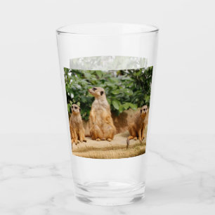 Verre Meerkat 008