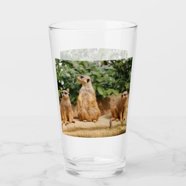 Verre Meerkat 008 (Devant)