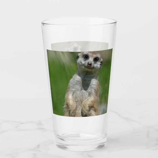 Verre Meerkat 013 (Devant)