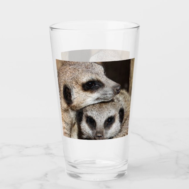 Verre Meerkat 019 (Devant)