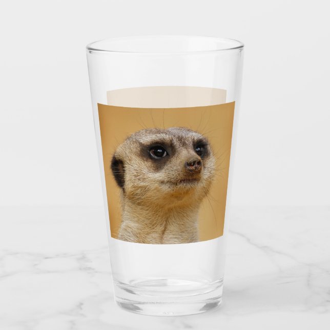 Verre Meerkat 020 (Devant)