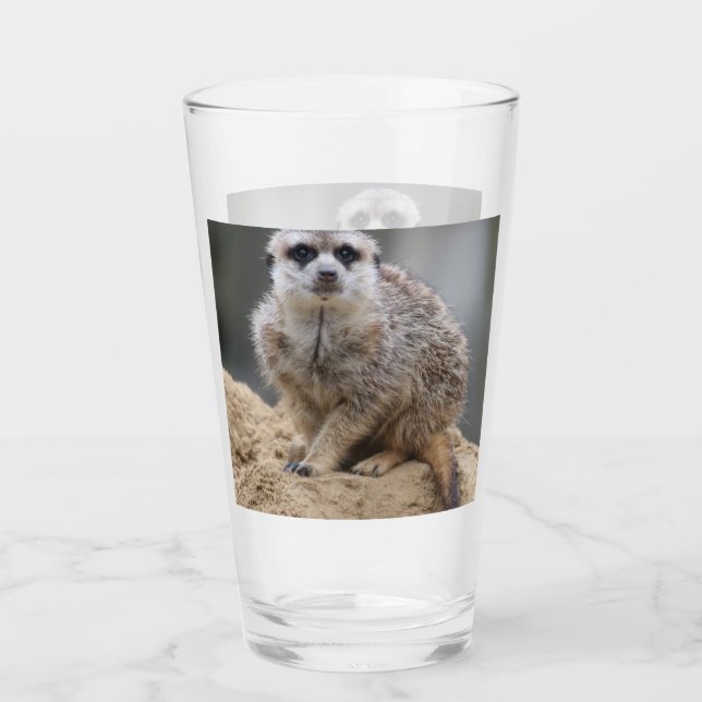 Verre Meerkat 021 (Devant)
