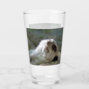 Verre Meerkat 024