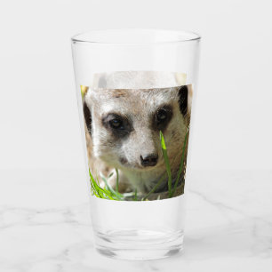 Verre Meerkat 026
