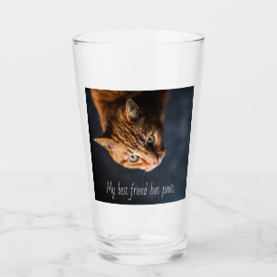 Verre Mon meilleur ami a des pattes, Cat Kitten mignonne