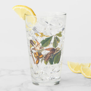 Verre Oiseaux de cacao à bec jaune Audubon dans un arbre