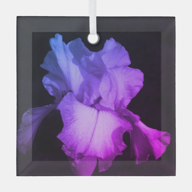 Verre Ornement en céramique violet clair Iris (Recto)