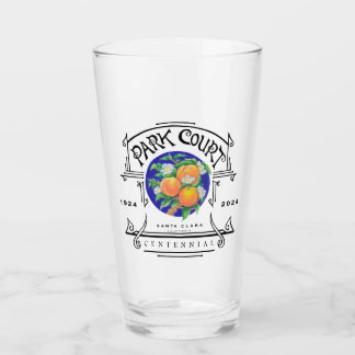 Verre Park Court Centennial Pint Glass