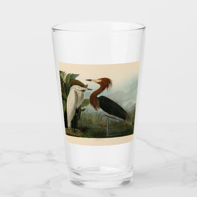 Verre Peinture de la faune d'Audubon Heron violet (Devant)