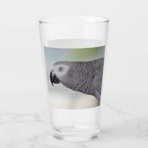 Verre Perroquet magnifique de gris africain