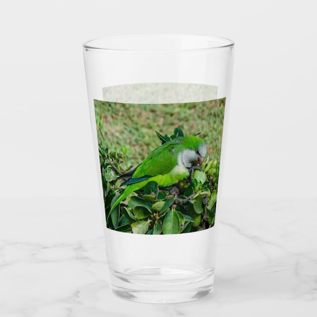 Verre Perroquet vert (Devant)