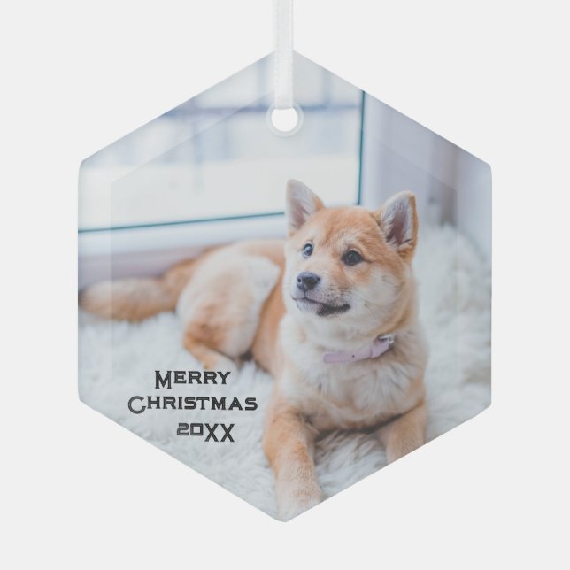Verre photo de chien mignon Ornement Noël Fêtes (Recto)