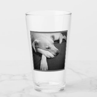 Verre Photo en noir et blanc d'un beau chien dormant