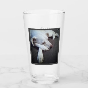 Verre Photo Sleeping Chien Rapide récupération obtenir b