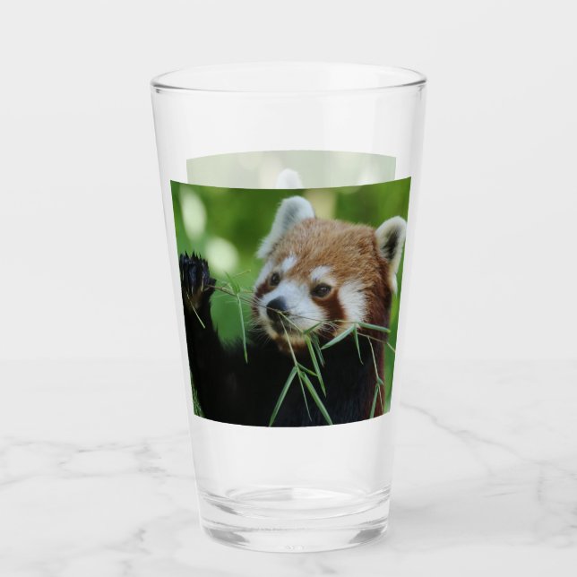 Verre RedPanda 002 (Devant)