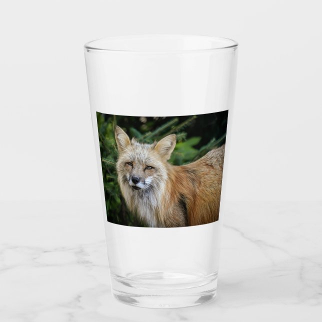 Verre Renard sauvage (Devant)