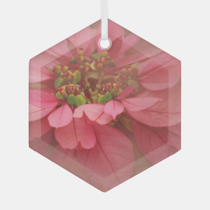 Verre Rose Blush Poinsettias Art numérique Ornement en v