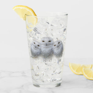 Verre Sagesse de rêve de la famille des Chouettes de nei