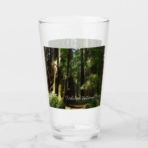 Verre Séquoias et fougères au parc national de Redwood