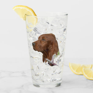 Verre Setter irlandais