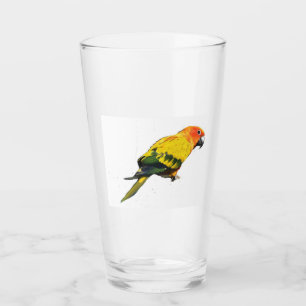 Verre Sun Conure
