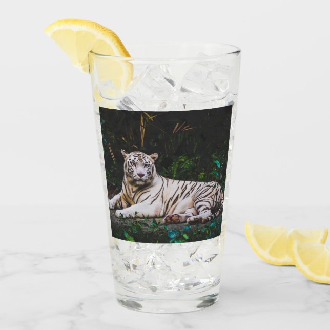 Verre Tigre (Devant glace)