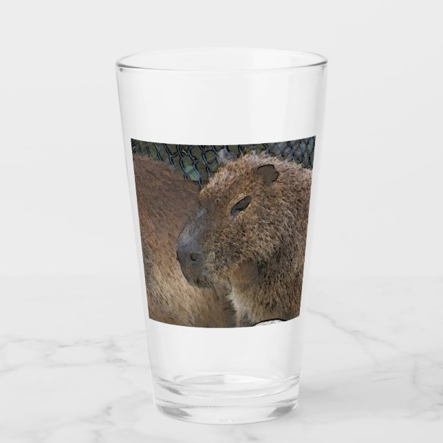 Verre toony Capibarah (Devant)