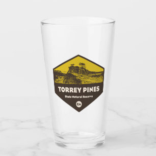 Verre Torrey Pines State Reserve Californie