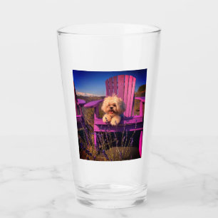 Verre Tzu adorable et amical Shih Tzu sourit, Chaise vio