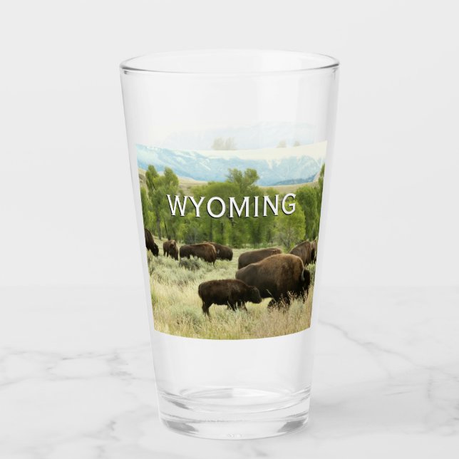 Verre Wyoming Bison Nature Animal Photographie (Devant)