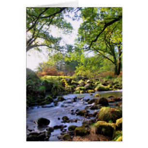 'Vers le bas par le River